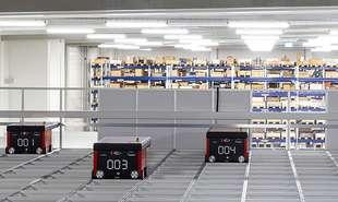 Dematic ERAM 2 310